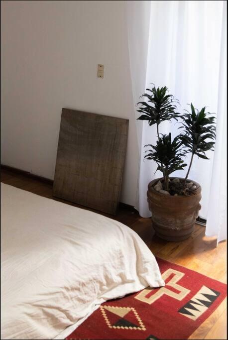 Roma Amor 墨西哥城 外观 照片